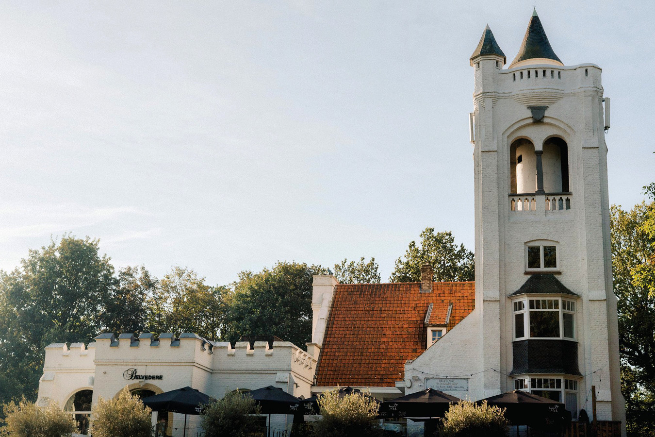 Belvedere Domain